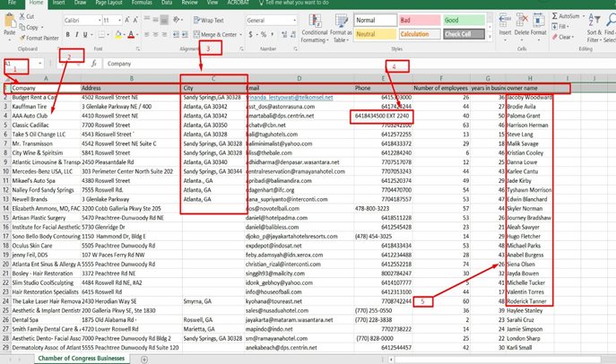 csv phone number extractor